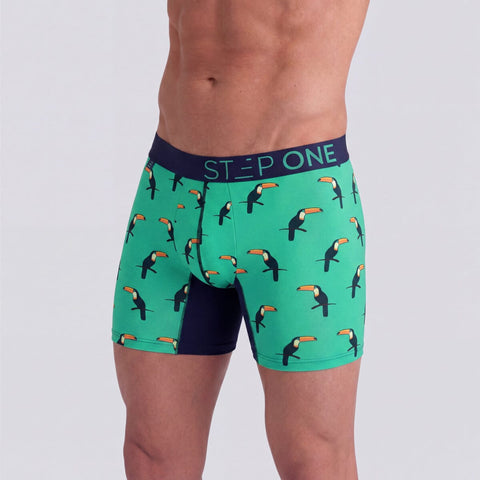 Toucans