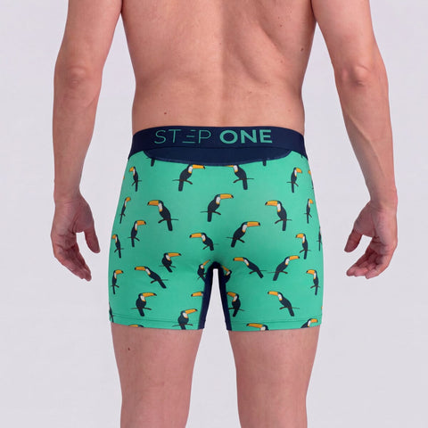 Toucans