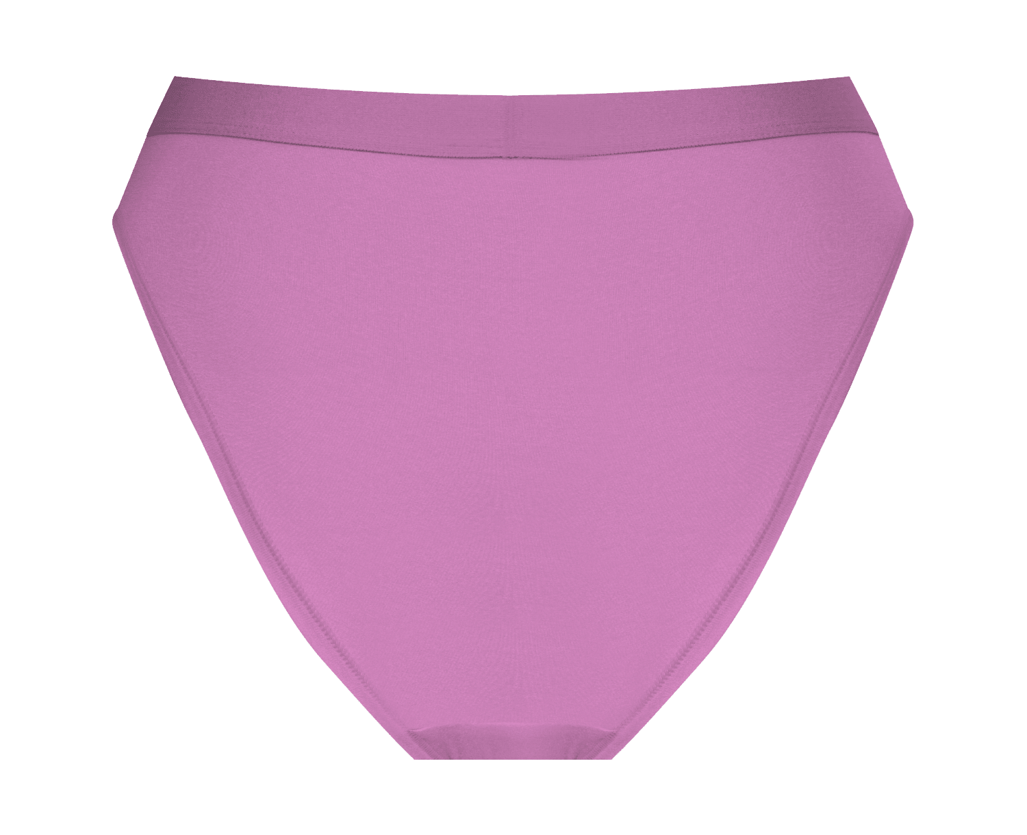 Women's Bikini Brief Underwear