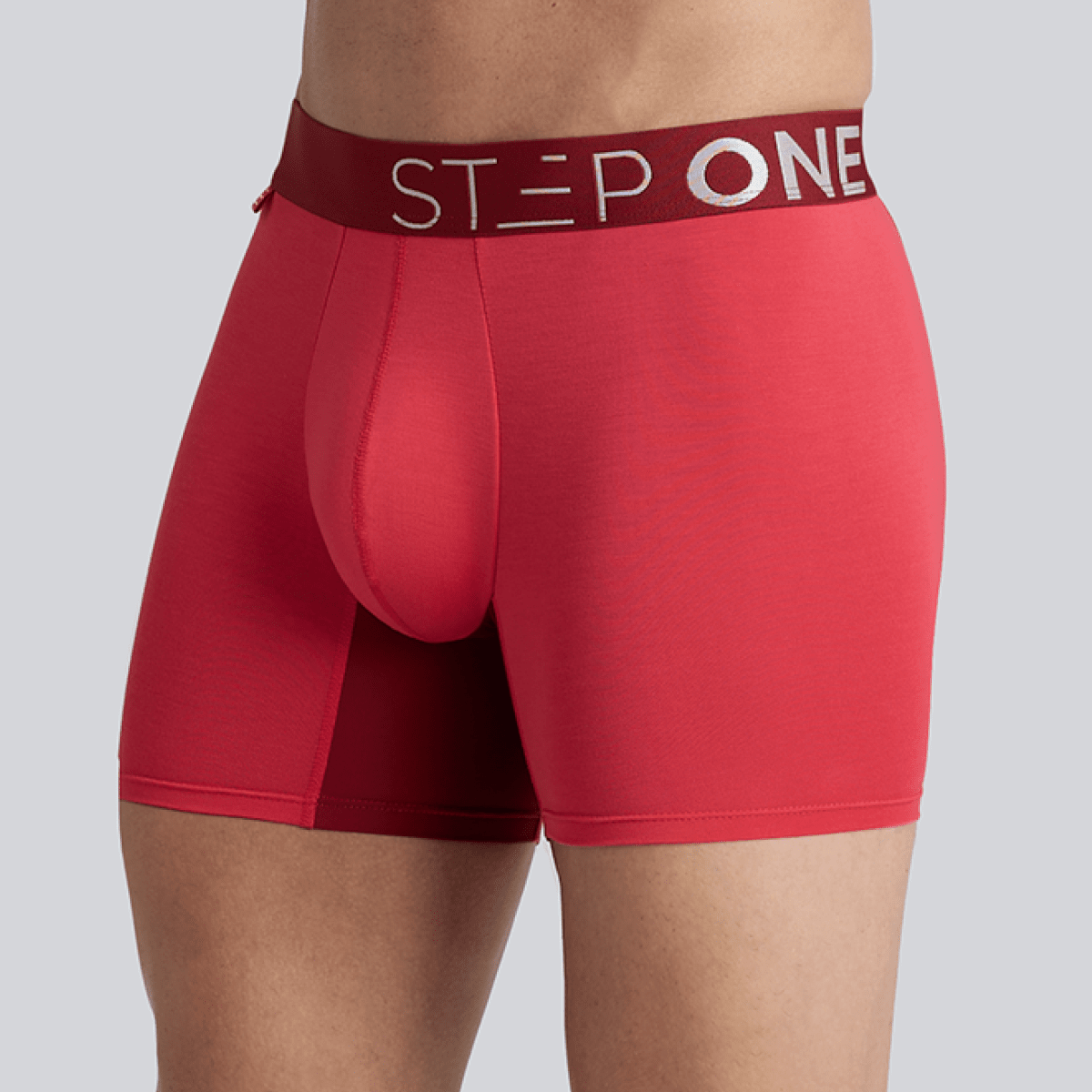 Trunk - Winter Berry - Bamboo Underwear