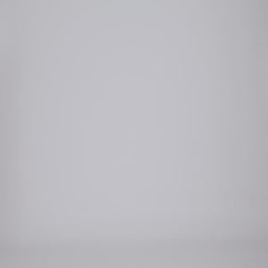 Women's Bikini Brief - SLSA x Step One